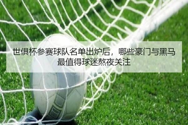 世俱杯参赛球队名单出炉后，哪些豪门与黑马最值得球迷熬夜关注 | kaiyun